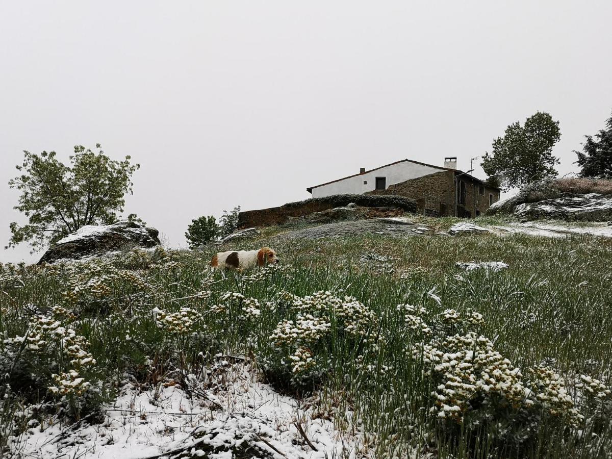 El Triskel De Chumbea, Alojamiento Excepcional Con Maravillosas Vistas A 5Km De Bejar Navalmoral de Bejar Exterior foto